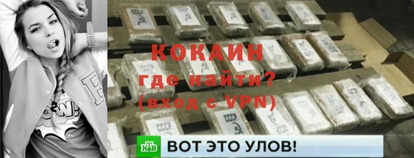 PSILOCYBIN Богородицк