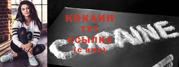 PSILOCYBIN Богородицк