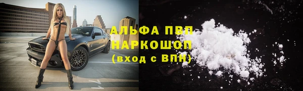 PSILOCYBIN Богородицк