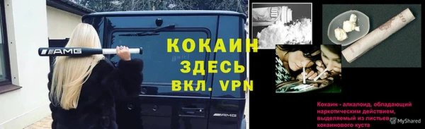 мдпв Богородск