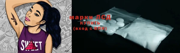мдпв Богородск