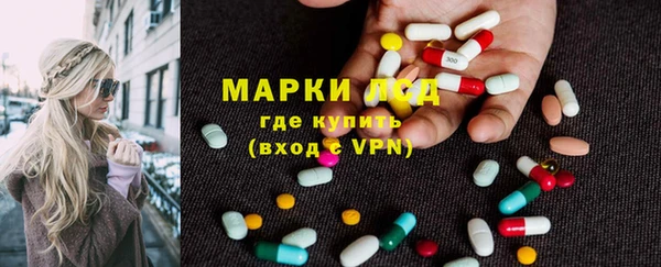 PSILOCYBIN Богородицк