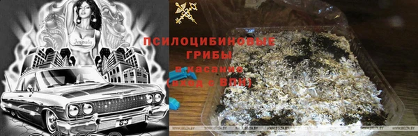 мдпв Богородск