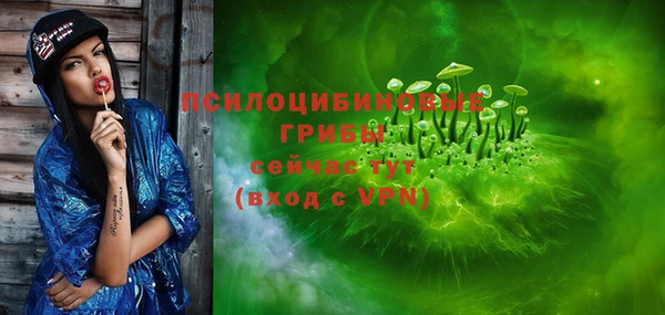 мдпв Богородск