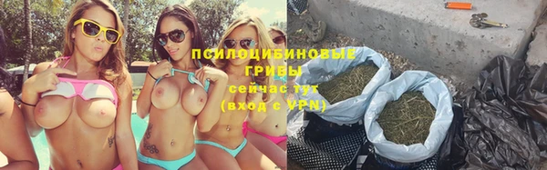 мдпв Богородск